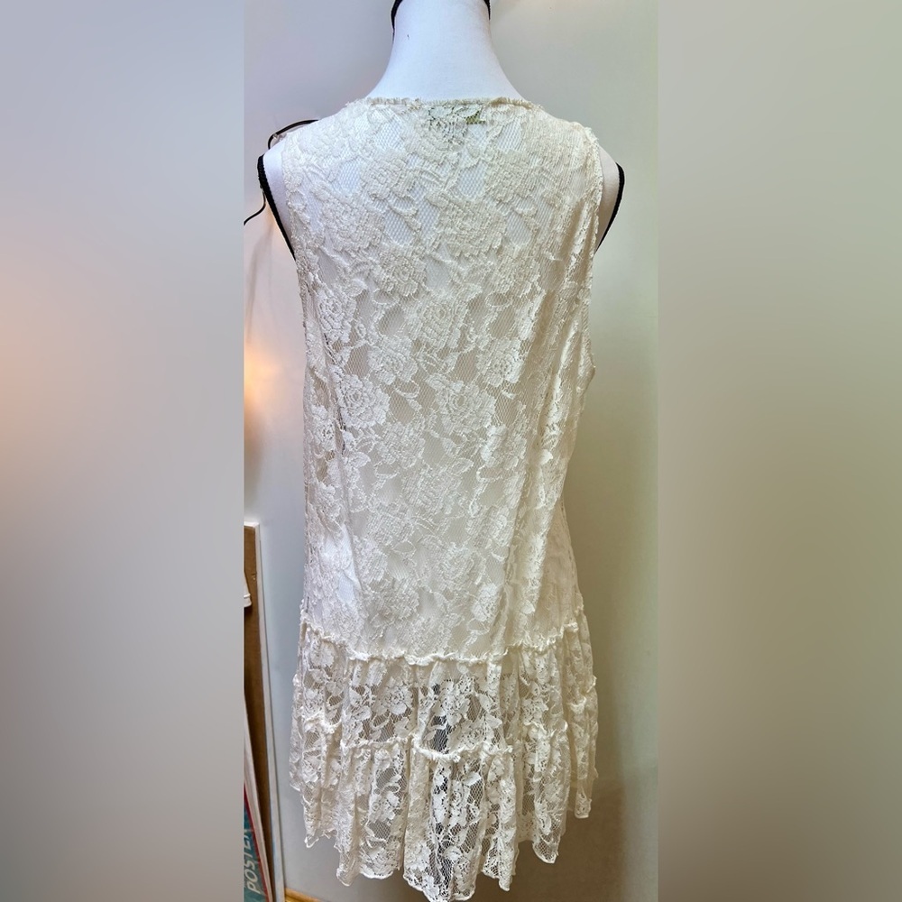 Elegant Sheer Cream Lace Dress by Forever 21 - Picture 4 of 5